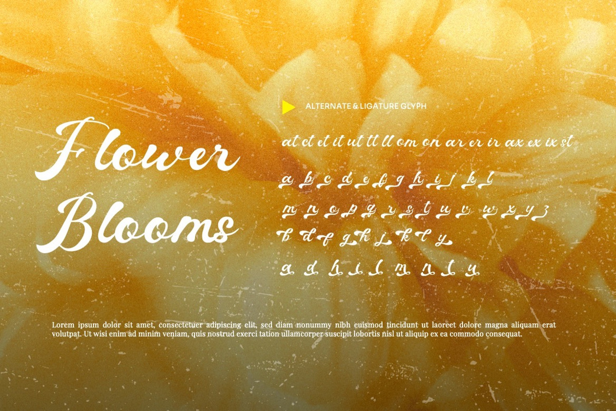 Baylou - Retro Script Font, a Script Font by Dhabee (Photo 8 of 15)
