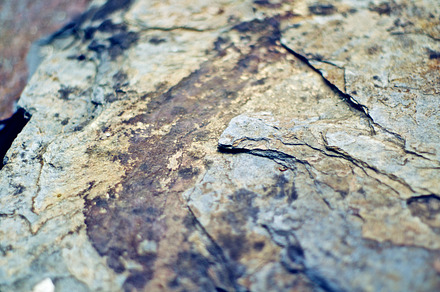 Wood texture stock photo containing wood and old preview 6