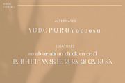 Nirpa - Elegant Serif, a Serif Font by Flawless And Co (Thumbnail 9 of 12)