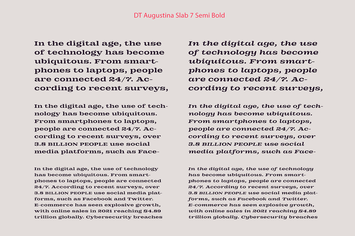 DT Augustina Slab 7 Subfamily, a Slab Serif Font by Deveze Type Foundry (Photo 12 of 31)