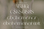 The Genium - Elegant Classic Serif, a Serif Font by GridlineType (Thumbnail 10 of 10)