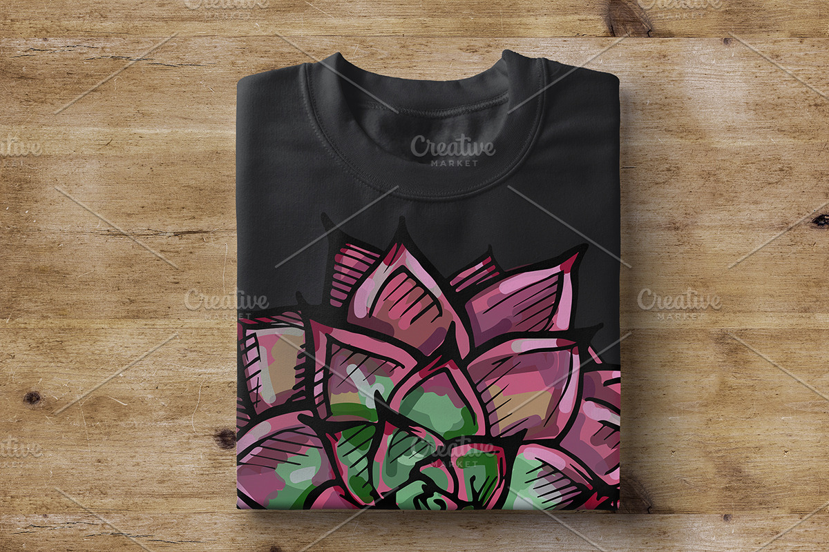 Vector succulents collection, an Illustration by AV Design (Photo 5 of 7)