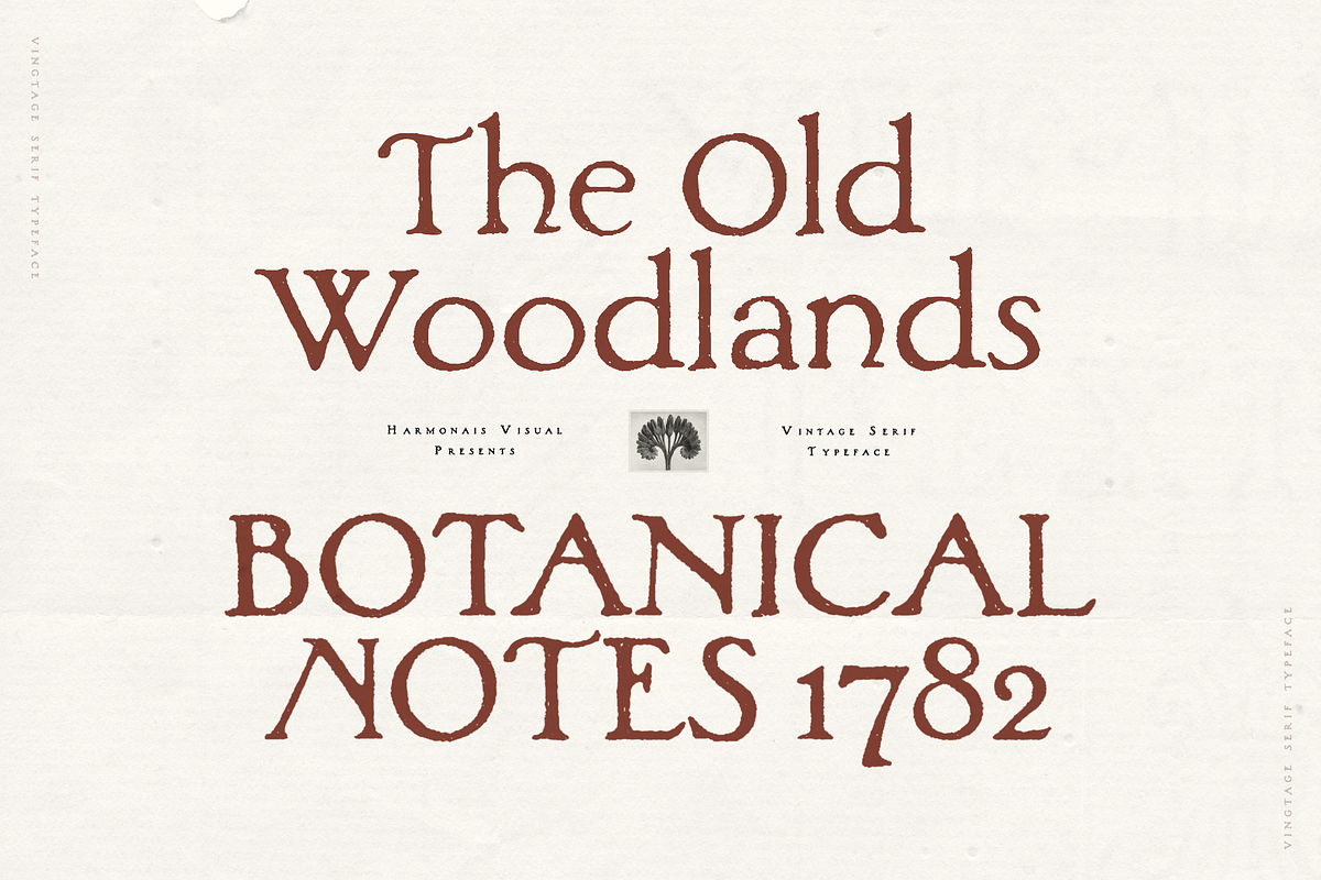 Woodlands - Vintage Hand-painted, a Serif Font by Harmonais Visual (Photo 1 of 23)