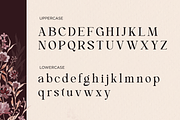 Lovely Paradise - Decorative Serif, a Serif Font by Font Liner (Thumbnail 10 of 15)