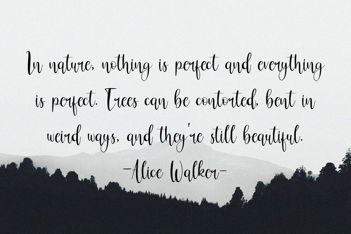 Charlote Shine, a Script Font by Essentials Studio (Photo 6 of 10)