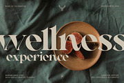 RATHER RISQUE - Ligature Serif Font, a Serif Font by SilverStag Type Foundry (Thumbnail 2 of 27)