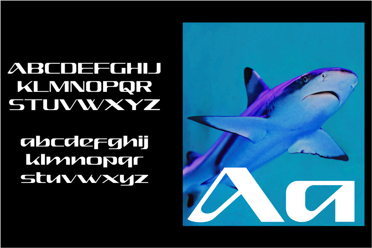 ARGUMAN, a Font by Bagerich Type Foundry (Photo 2 of 9)