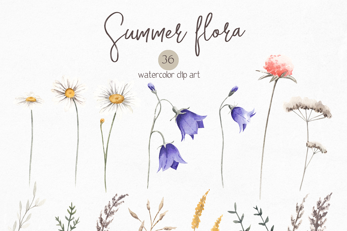 Watercolor Summer Flora clipart, an Illustration by YuliyaArtGarden (Photo 2 of 14)