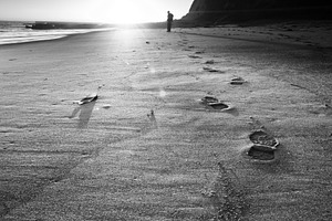 California coastal scene containing coast, nature, and ocean