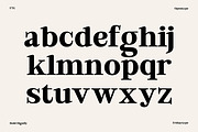 Bold Dignify - Minimalist Calm Serif, a Serif Font by Fridaytype (Thumbnail 7 of 12)