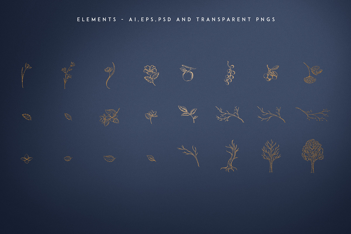 Explorers - Serif font + Extras, a Serif Font by VP Fonts (Photo 10 of 12)
