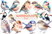 Watercolor Bird clipart, an Illustration by Designworld (Thumbnail 1 of 5)