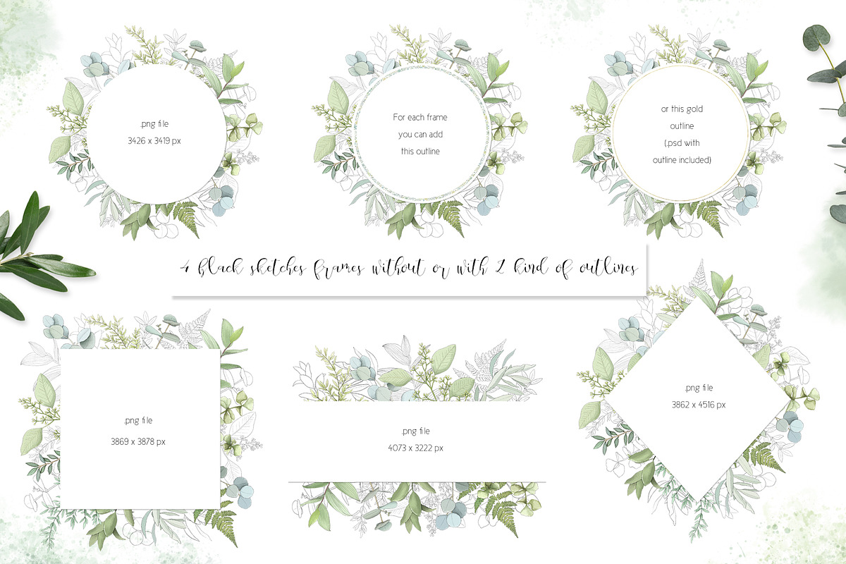 Fresh greenery frames and patterns, a Decorative Illustration by marie dricot (Photo 2 of 16)