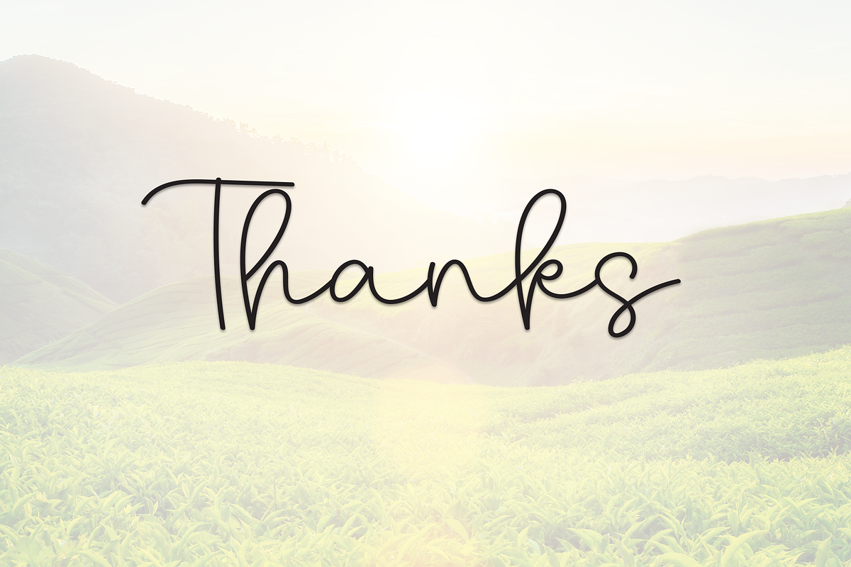 Beauty Nature | Script Font, a Handwritten Font by Scratchones (Photo 8 of 8)