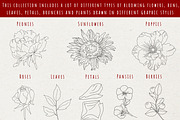 Flowers and Bows graphic line art, a Decorative Illustration by Nataly_is_Drawing (Thumbnail 4 of 11)