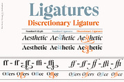The Story Dream, a Serif Font by joelmaker (Thumbnail 5 of 18)