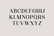 Meganfolk Elegant Serif Family, a Serif Font by UICreative (Thumbnail 5 of 26)