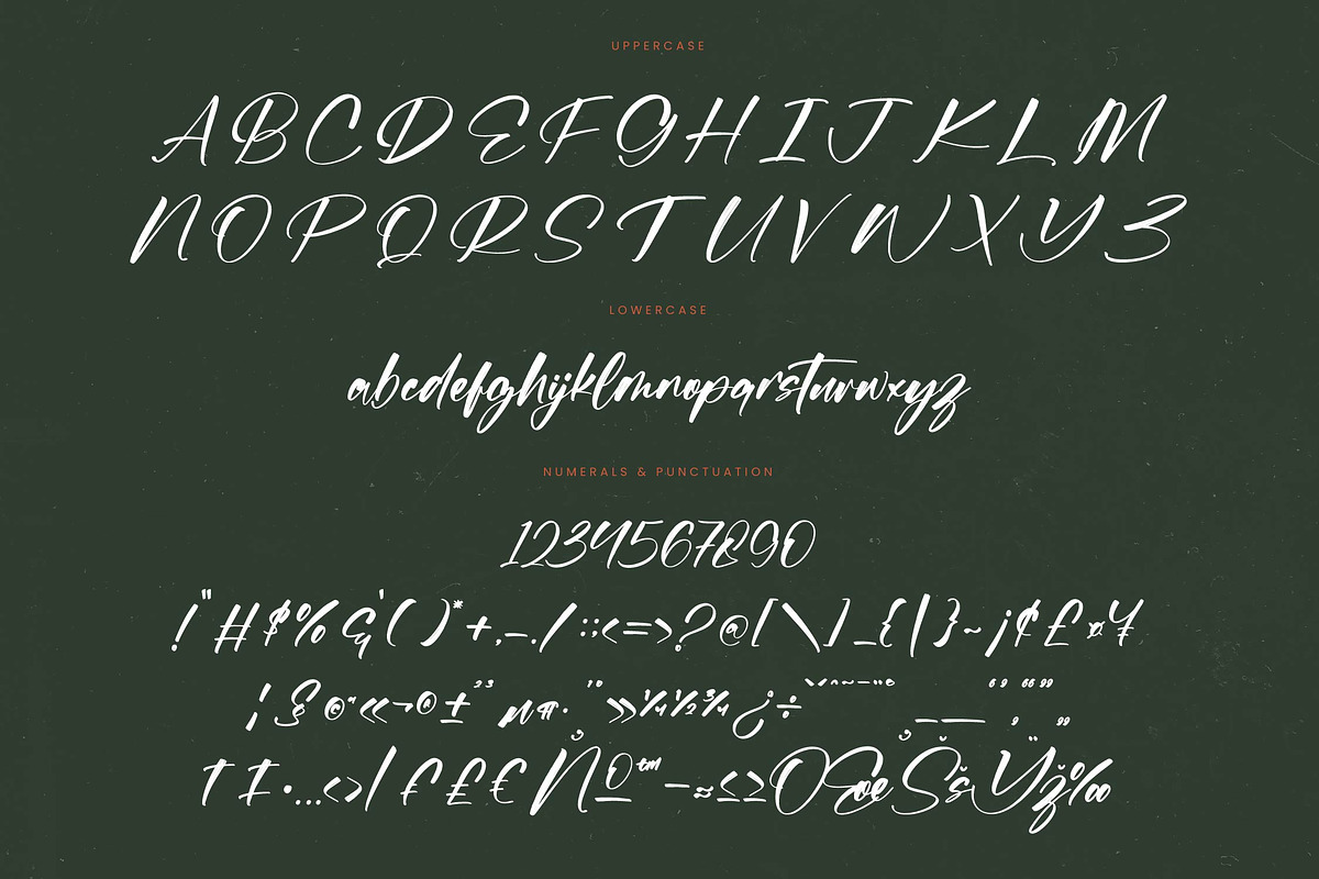 Flusteria Routine Modern Brush Font, a Script Font by stylishtype.co (Photo 18 of 20)