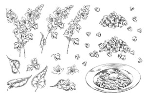 Set of Monochrome Sketch with, a Food Illustration by Sabelskaya
