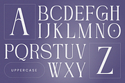 Nogite Modern - Branding Logo Font, a Serif Font by Nirmana Visual (Thumbnail 9 of 14)