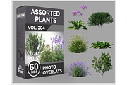 60 Assorted Plants Photo Overlays, a Nature Photo by KenScape (Thumbnail 1 of 3)