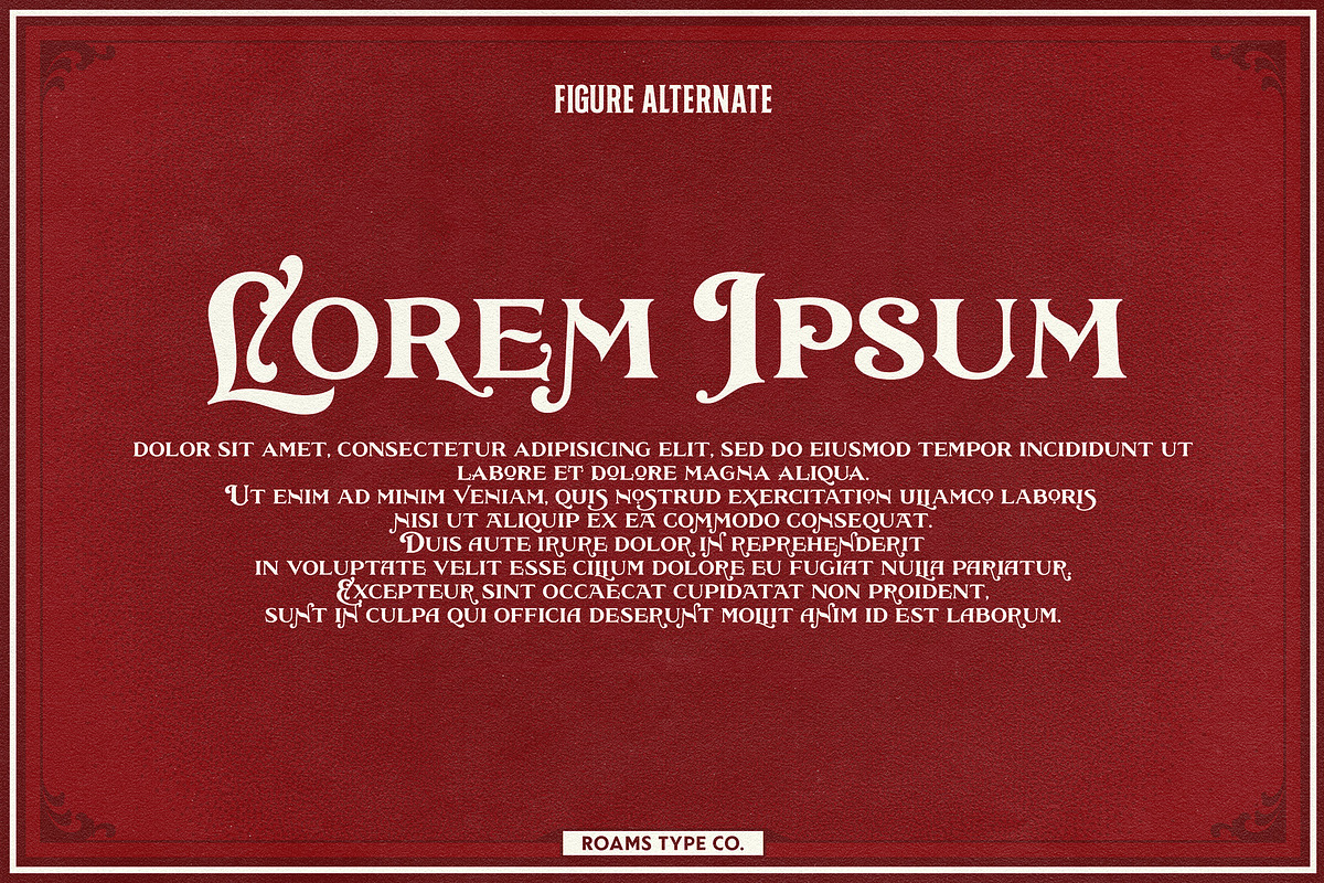 Dyans Font Family, a Font by Roams Type (Photo 5 of 8)