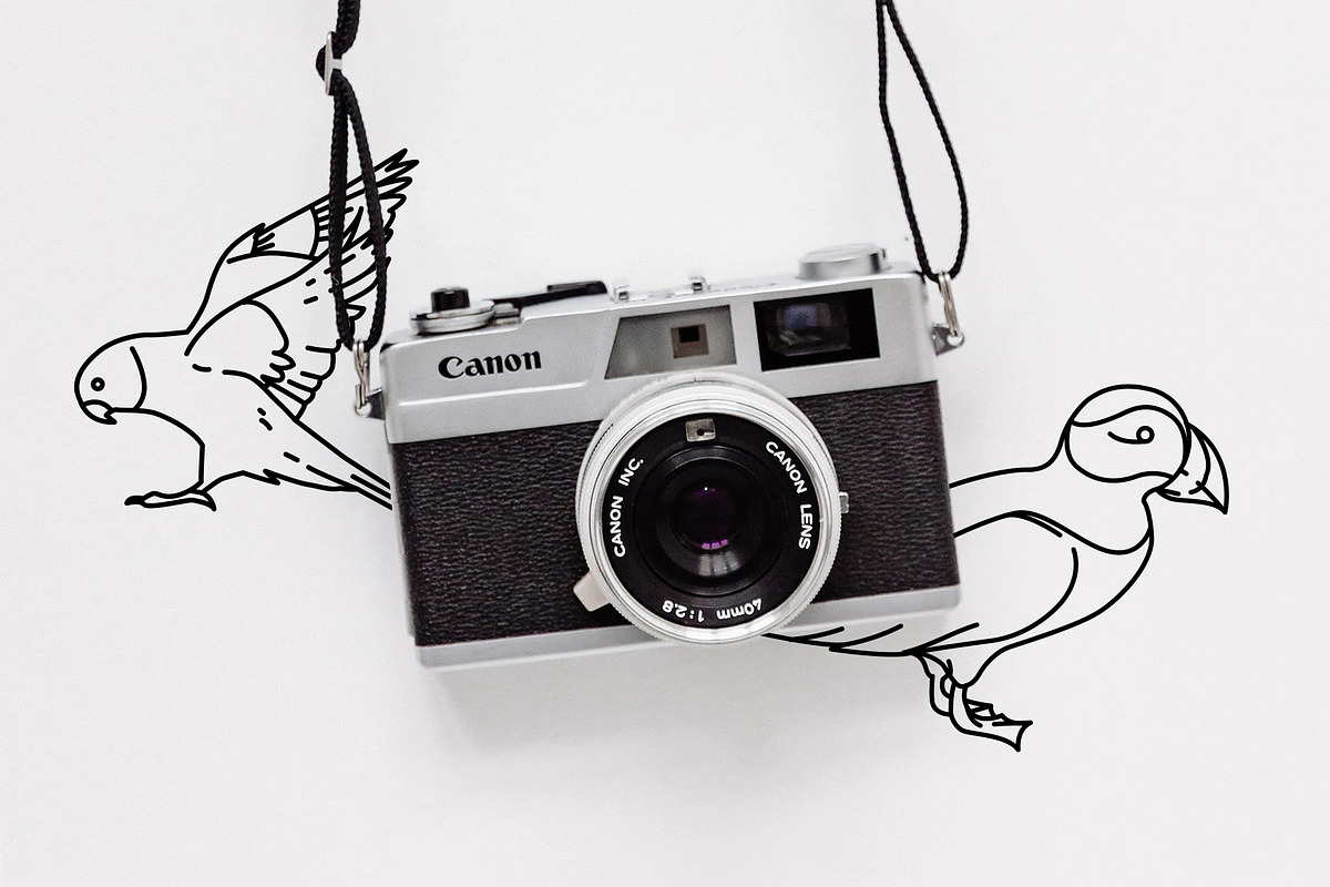 Wild Animal Icons Pack, an Outline Icon by Hatch Design Workshop (Photo 2 of 10)