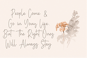 Baster Monky - Monoline Script Font, a Script Font by StringLabs (Thumbnail 4 of 13)