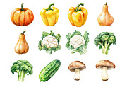 Watercolor Nature Vegetable Clipart, a Graphic by CitraGraphics (Thumbnail 3 of 5)