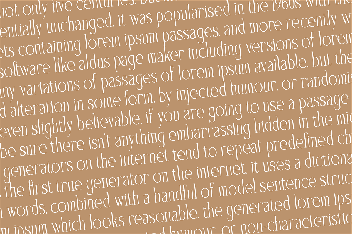 Saegathe Modern Serif Font, a Serif Font by Storytype Studio (Photo 4 of 15)