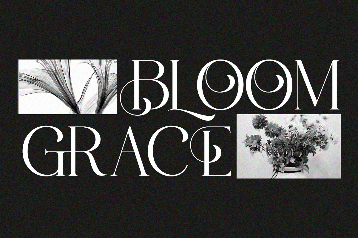 Augvari - Modern Luxury Serif, a Serif Font by Qweera Studio (Photo 7 of 12)