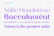 Nearo Rounded, a Sans Serif Font by Digitype Studio (Thumbnail 6 of 10)
