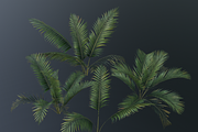 A small palm bush, a Plants & Tree 3D Model by FuturePastCreatives (Thumbnail 1 of 5)