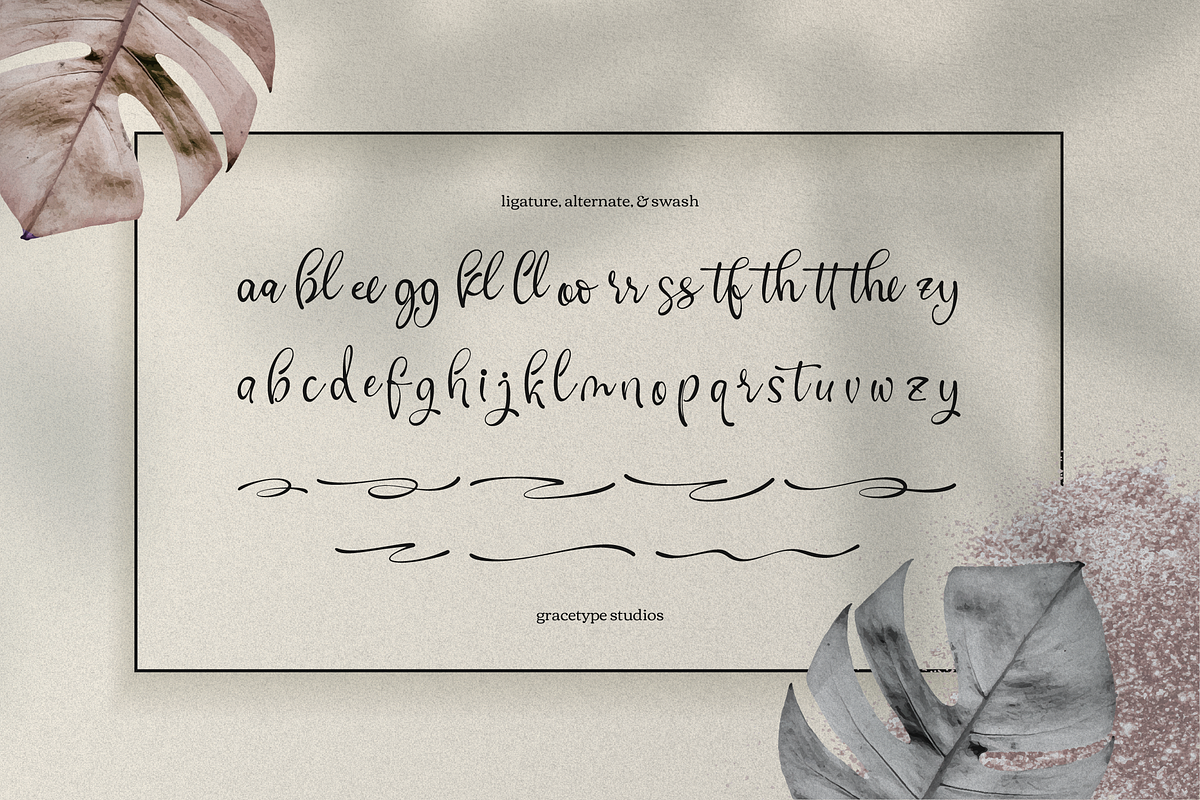 Cafricot Lissendra Script, a Script Font by gracetype_studio (Photo 11 of 12)