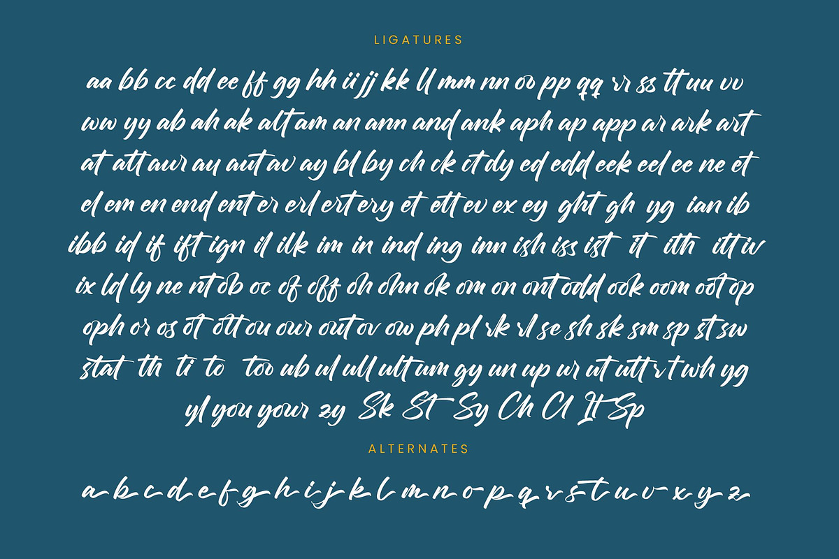 Chifest Skater Bold Handwritten Font, a Script Font by stylishtype.co (Photo 19 of 20)