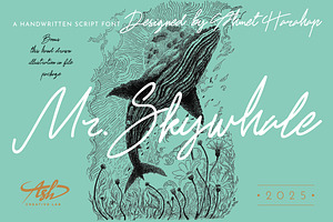 Mr. Skywhale Signature Script Font