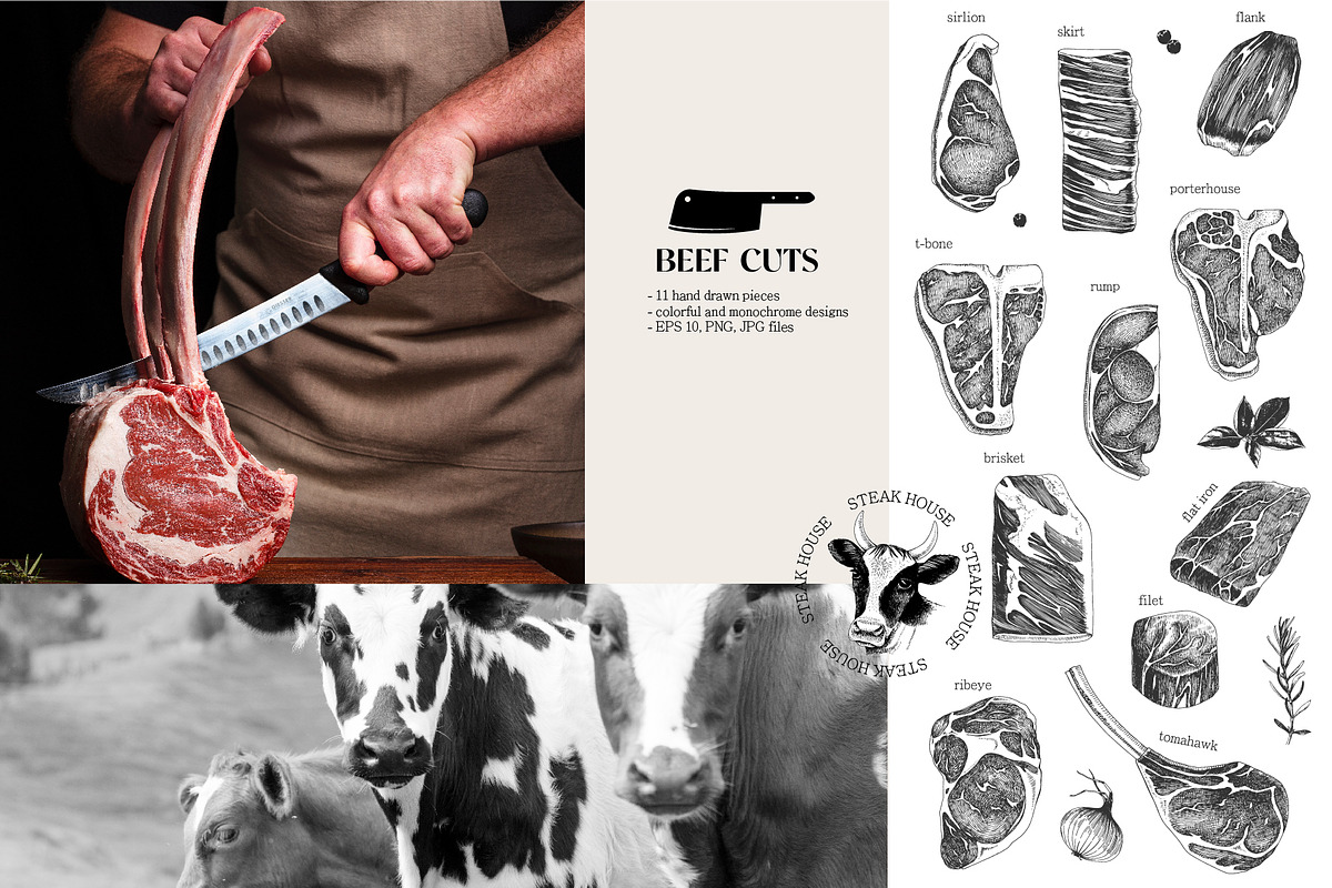 Ultimate meat set. Meat market, a Food Illustration by handsketched (Photo 3 of 17)