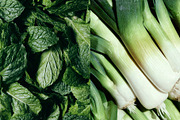 Vegetable Image Collection, a Food & Drink Photo by nkate (Thumbnail 7 of 15)