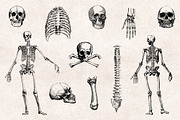 11 Skulls & Bones Illustration Set, an Illustration by Graphic Goods (Thumbnail 4 of 4)