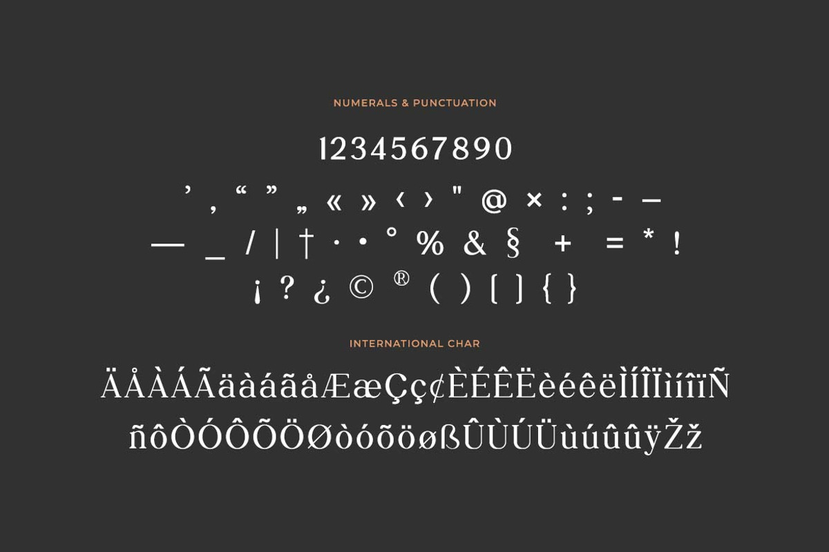 Daily Magazine Serif Display Font, a Serif Font by UICreative (Photo 10 of 13)