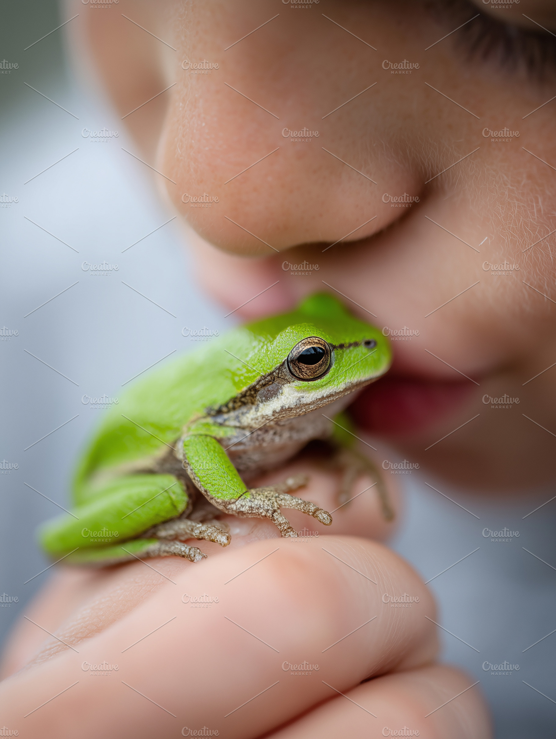 Close up on a child kissing small, an Animal Photo by MistyDay