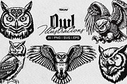Owl Illustration Pack, an Animal Illustration by Tekuni (Thumbnail 1 of 12)