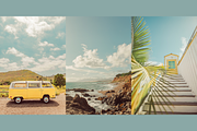 Summer Blues Yellow Pop, a Nature Photo by Munopia (Thumbnail 5 of 6)
