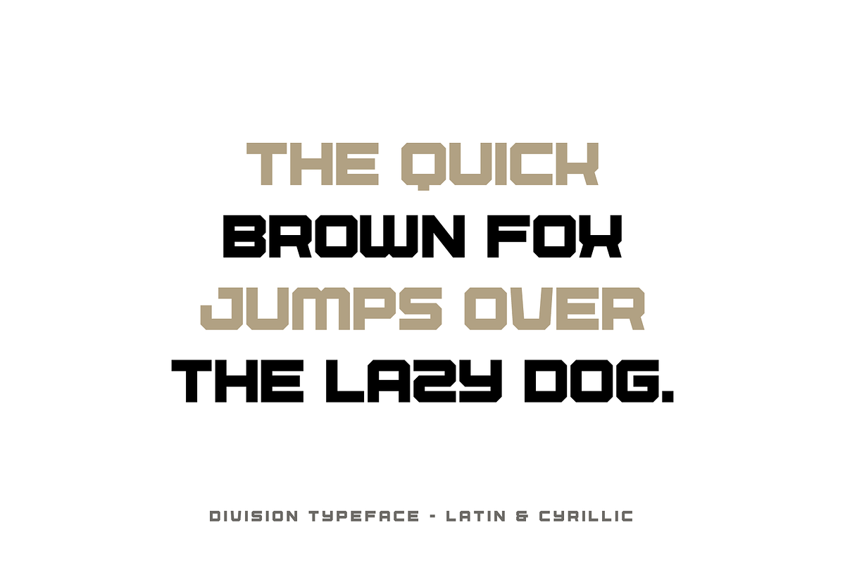 Division An Army Inspired Typefeace, a Sans Serif Font by alpercakici (Photo 3 of 14)