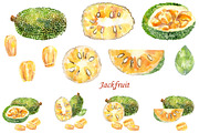 Watercolor tropical fruits., an Illustration by TaPilipa (Thumbnail 14 of 39)