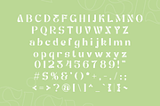 Posisy - Luxurious Serif Font, a Serif Font by Pikgura (Thumbnail 3 of 8)