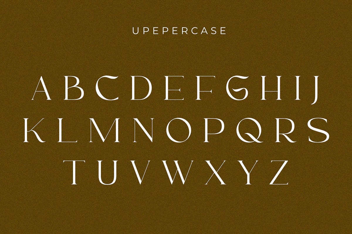 Ronners | An Elegant Serif Font, a Sans Serif Font by Andrimada Creative (Photo 13 of 14)
