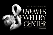 Casper Roomer Elegant Serif Font, a Serif Font by Perfectype (Thumbnail 6 of 8)