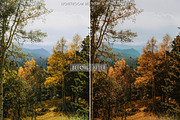 Pumpkin Spice Fall Lightroom Preset, a Preset Add-On by CityTurtles (Thumbnail 11 of 11)