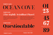 Dalglish Typeface, a Serif Font by Damelev (Thumbnail 8 of 13)